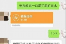 临泉专业讨债公司有哪些核心服务？